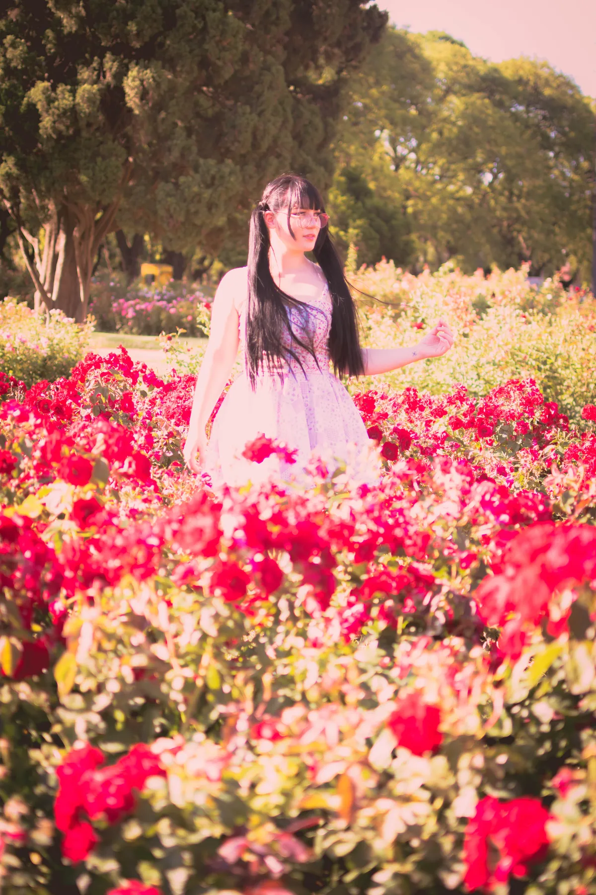 Fotografía 12 del álbum Priscila @ Rosedal